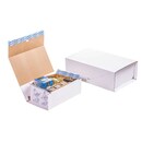 Mail Boxes, Brieger, 229 x 162 x 40 mm, white (590/0)