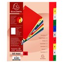 Exacompta dividers in PP A4+ 1-10 tabs assorted colours