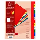 Exacompta dividers in PP A4+ 1-12 tabs assorted colours