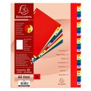 Exacompta dividers in PP A4+ 1-31 tabs assorted colours