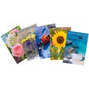 Art Bula birthday cards, in German, 122 x 175 mm, 5 different designs, pack of 5