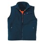 The product picture